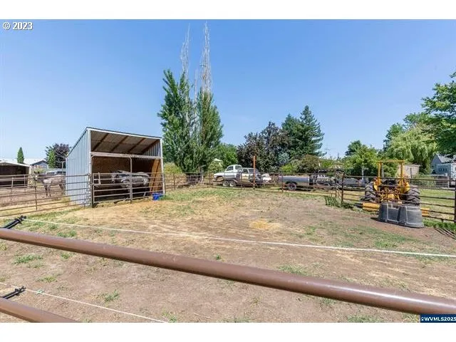 a view of a backyard with plants