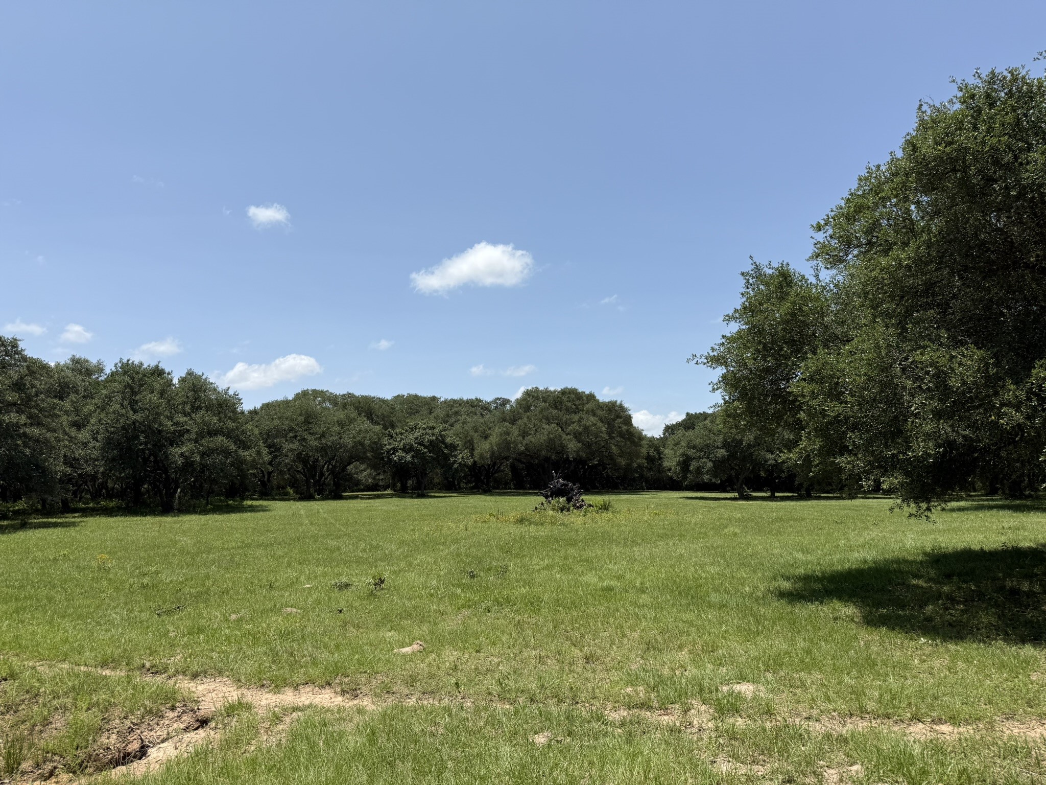 Tbd Rubin Lee Road Cat Spring, TX 78933 - Photo 47 of 47 a view of a grassy area