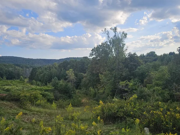 $85,900 | 1970 Rock Avenue, Palmer, TN 37365