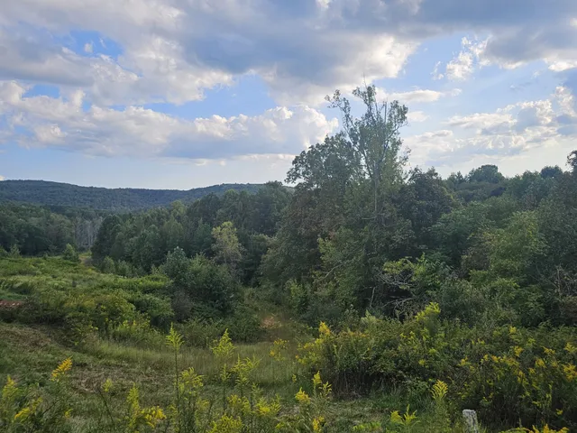 $96,600 | 1970 Rock Avenue, Palmer, TN 37365