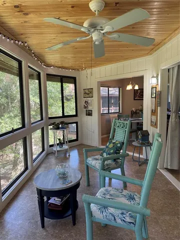 a view of a yard with plants