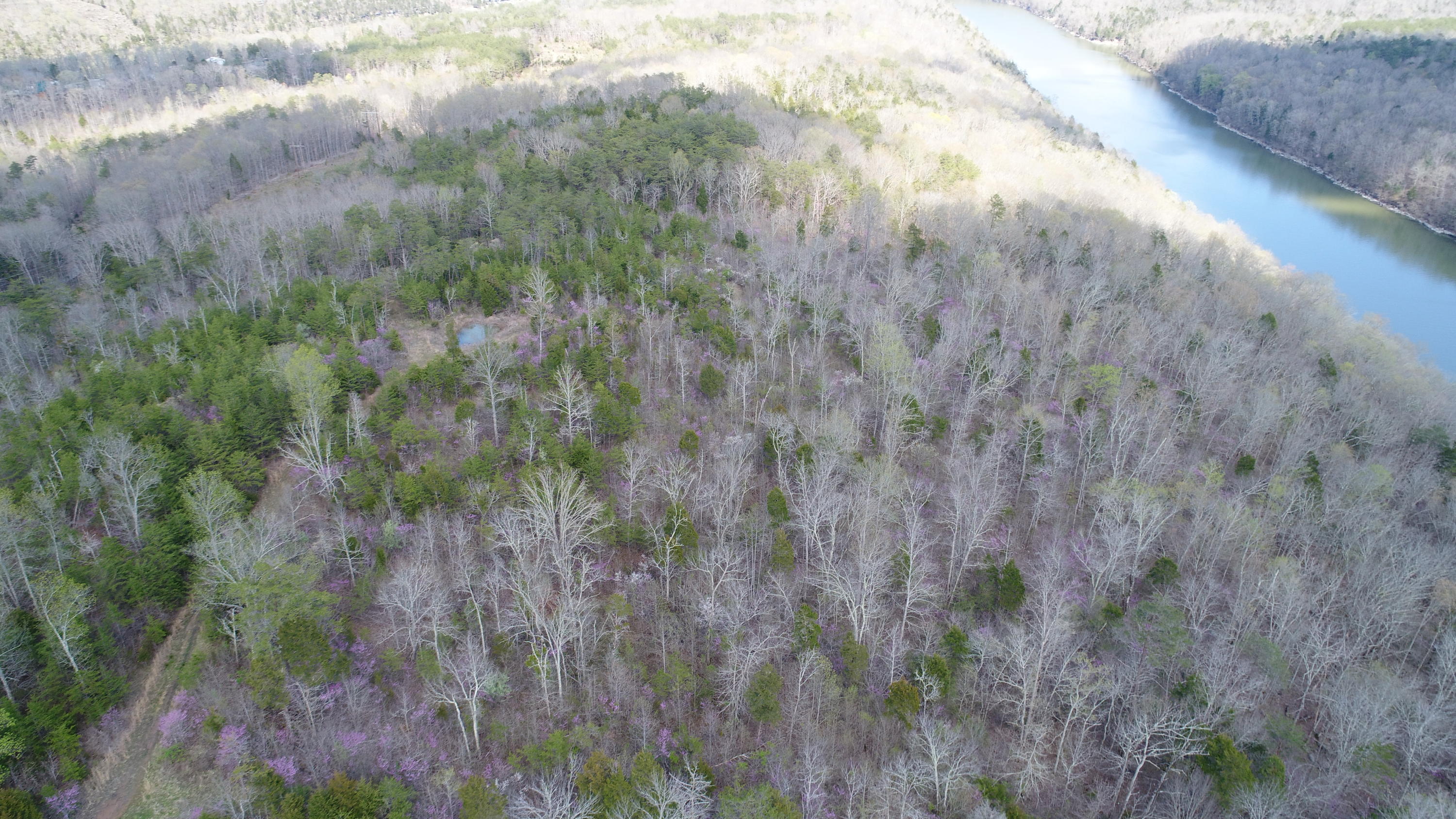 1315 Echo Point Road Bronston, KY 42518 - Photo 12 of 18 DJI_0262