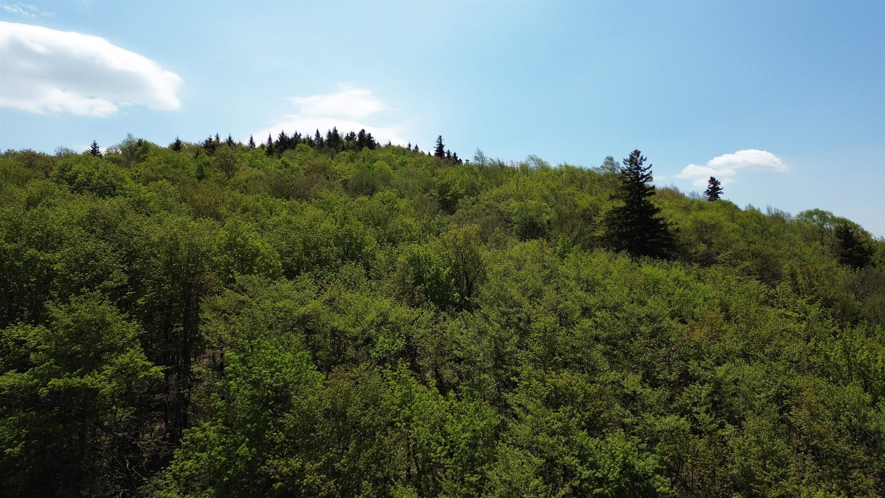 2016 Roxbury Mountain Road Warren, VT 05674 - Photo 7 of 18
