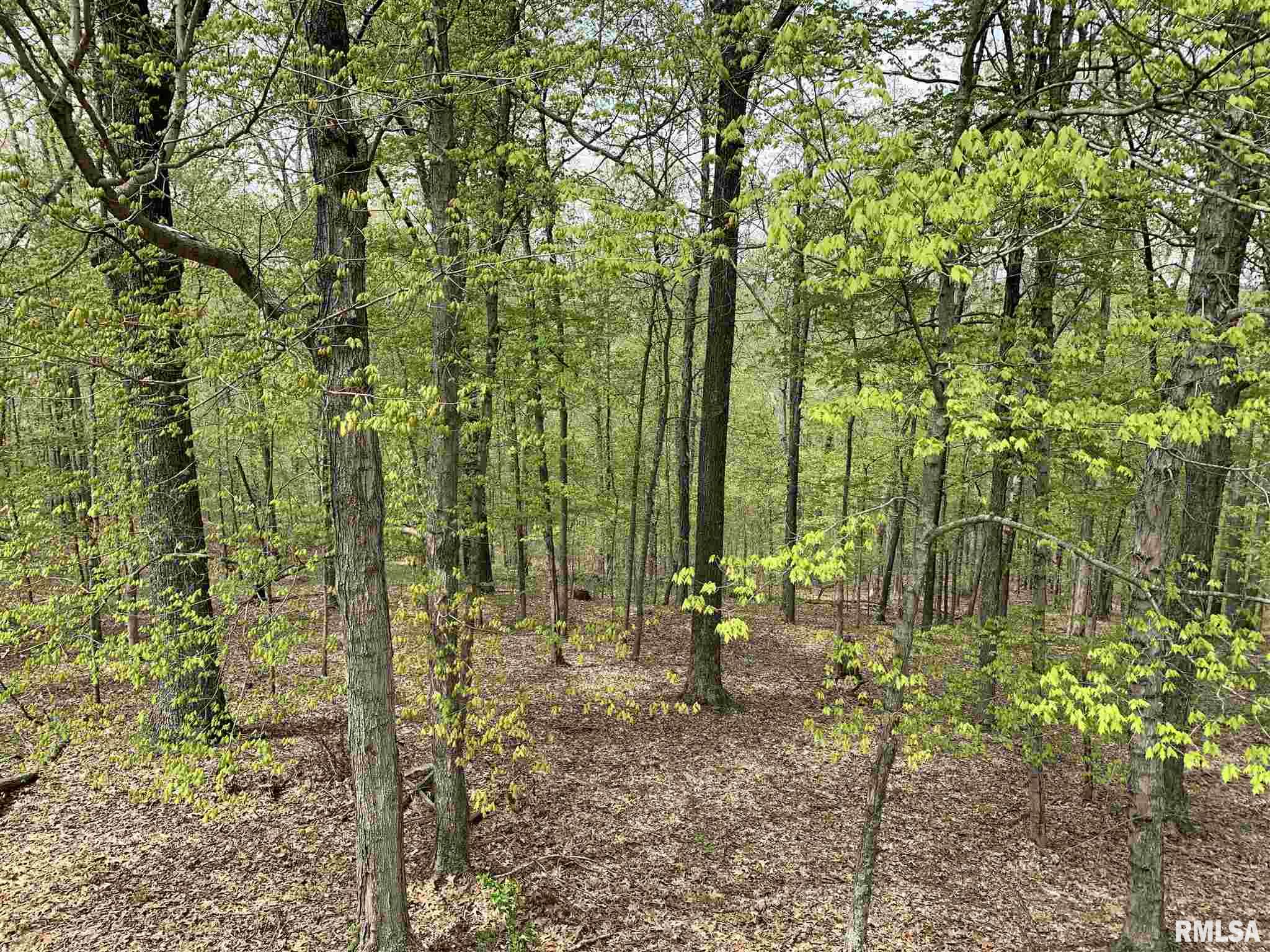 42 Mount Zion Road Cave In Rock, IL 62919 - Photo 23 of 44
