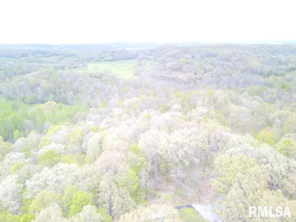 42 Mount Zion Road Cave In Rock, IL 62919 - Photo 42 of 44