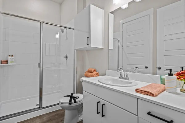 a bathroom with a sink a toilet and shower