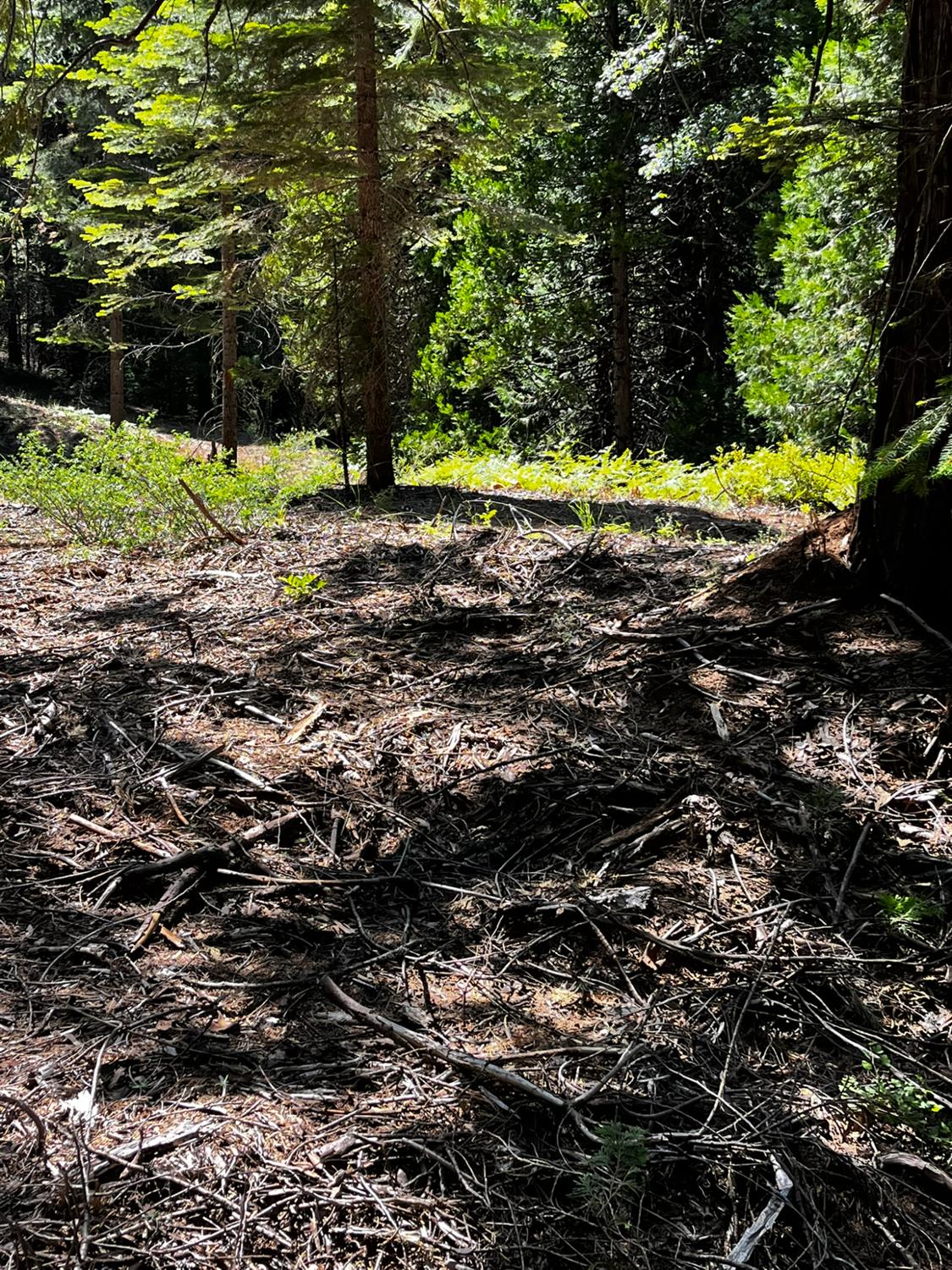 1 Usfs 8bn54 Road Pioneer, CA 95666 - Photo 5 of 51
