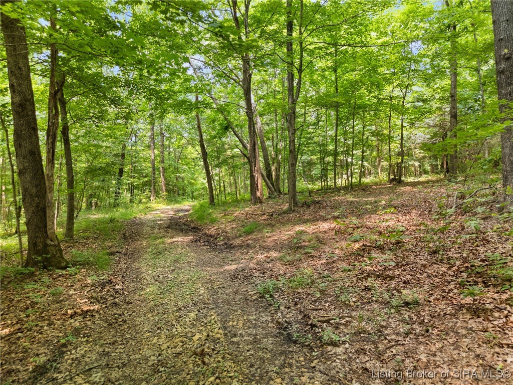 Dukes Road Northwest Depauw, IN 47115 - Photo 21 of 70