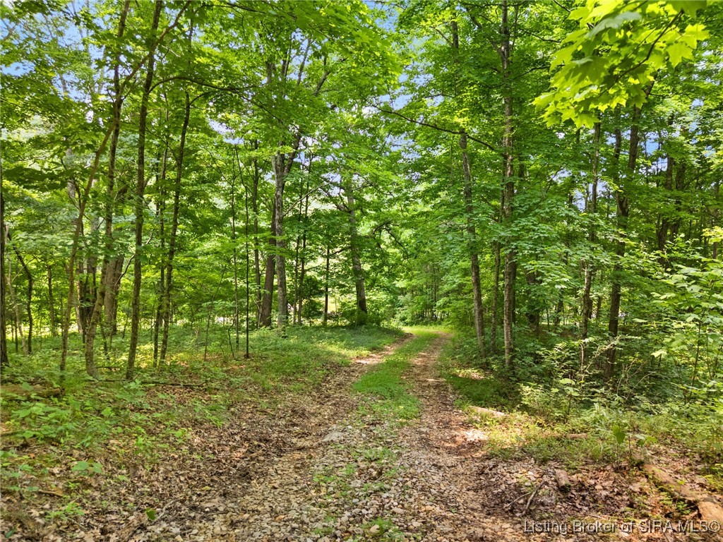 Dukes Road Northwest Depauw, IN 47115 - Photo 23 of 70
