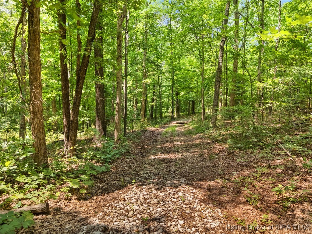 Dukes Road Northwest Depauw, IN 47115 - Photo 4 of 70