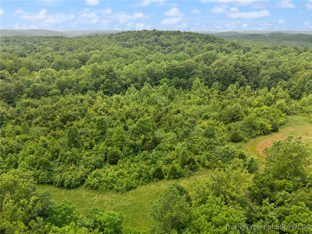 Dukes Road Northwest Depauw, IN 47115 - Photo 63 of 71