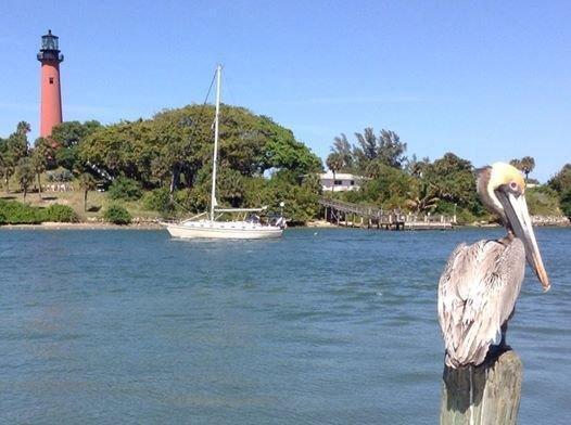 1003 Ocean Dunes Circle Jupiter, FL 33477 - Photo 32 of 33 a view of a swimming pool with a porch