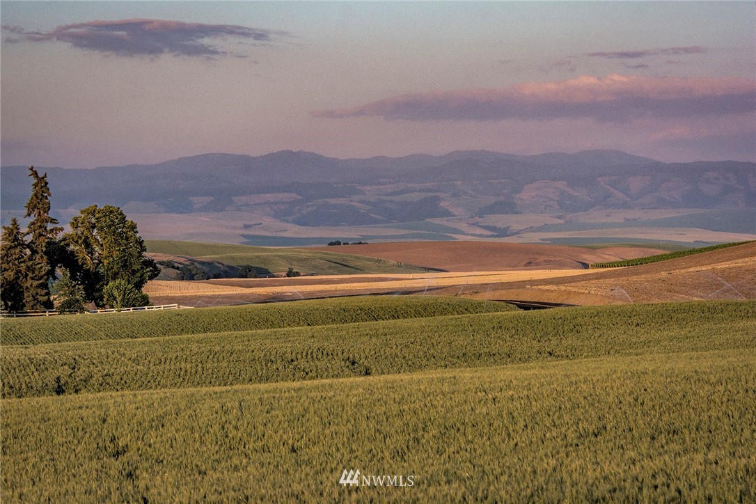 58 Bergevin Springs Road Walla Walla, WA 99362 - Photo 2 of 6 Gallery Image 2