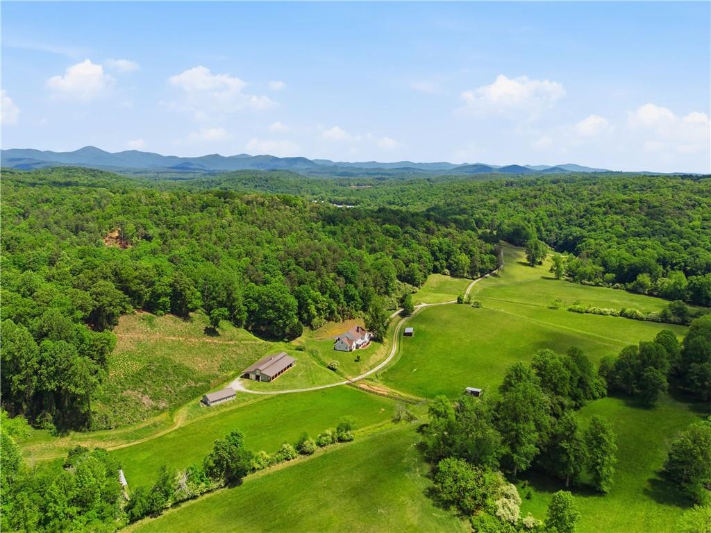 619 Hamp Mill Road Dahlonega, GA 30533 - Photo 101 of 118