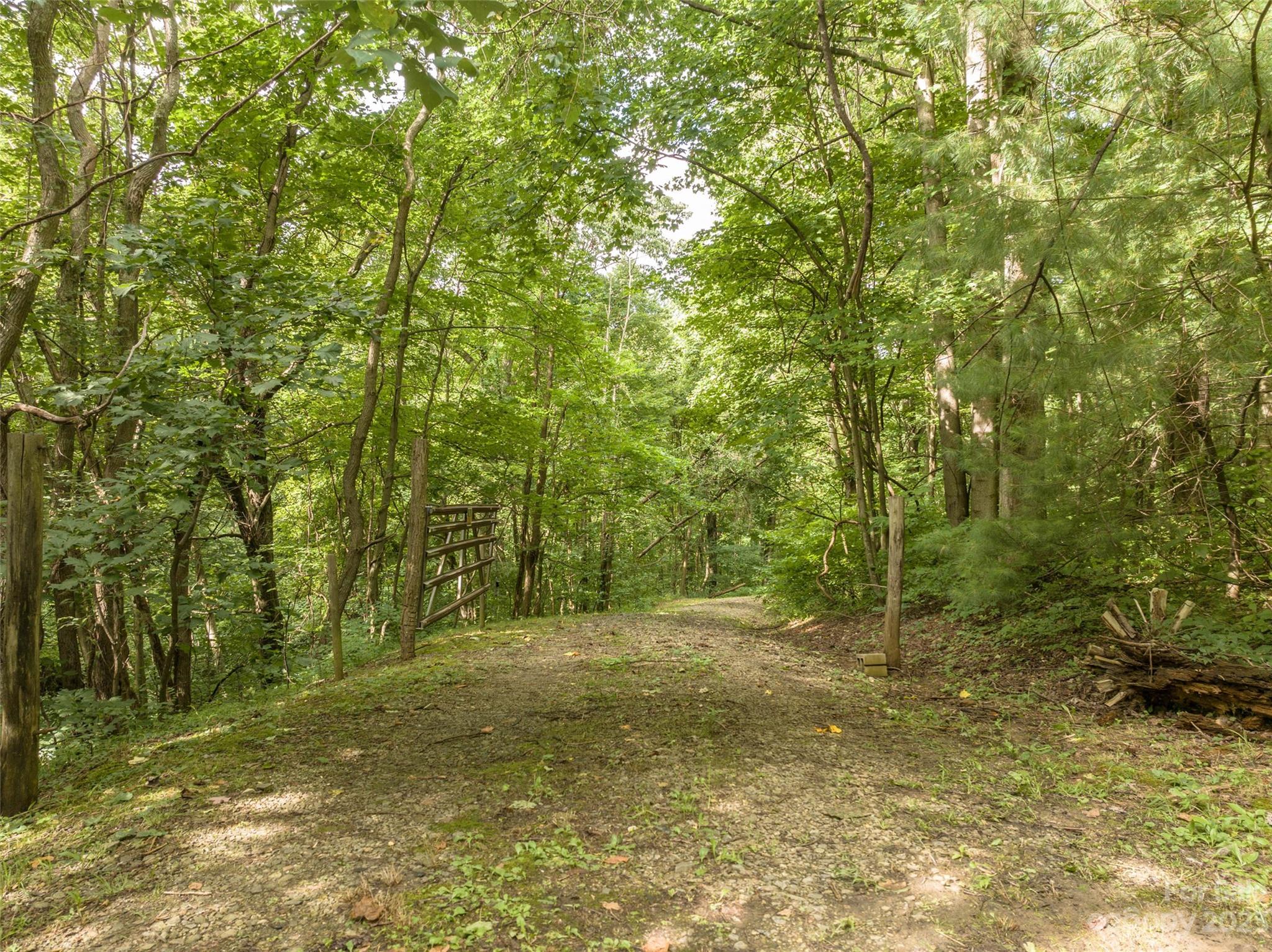1706 Newfound Road Leicester, NC 28748 - Photo 1 of 43 Gallery Image 1