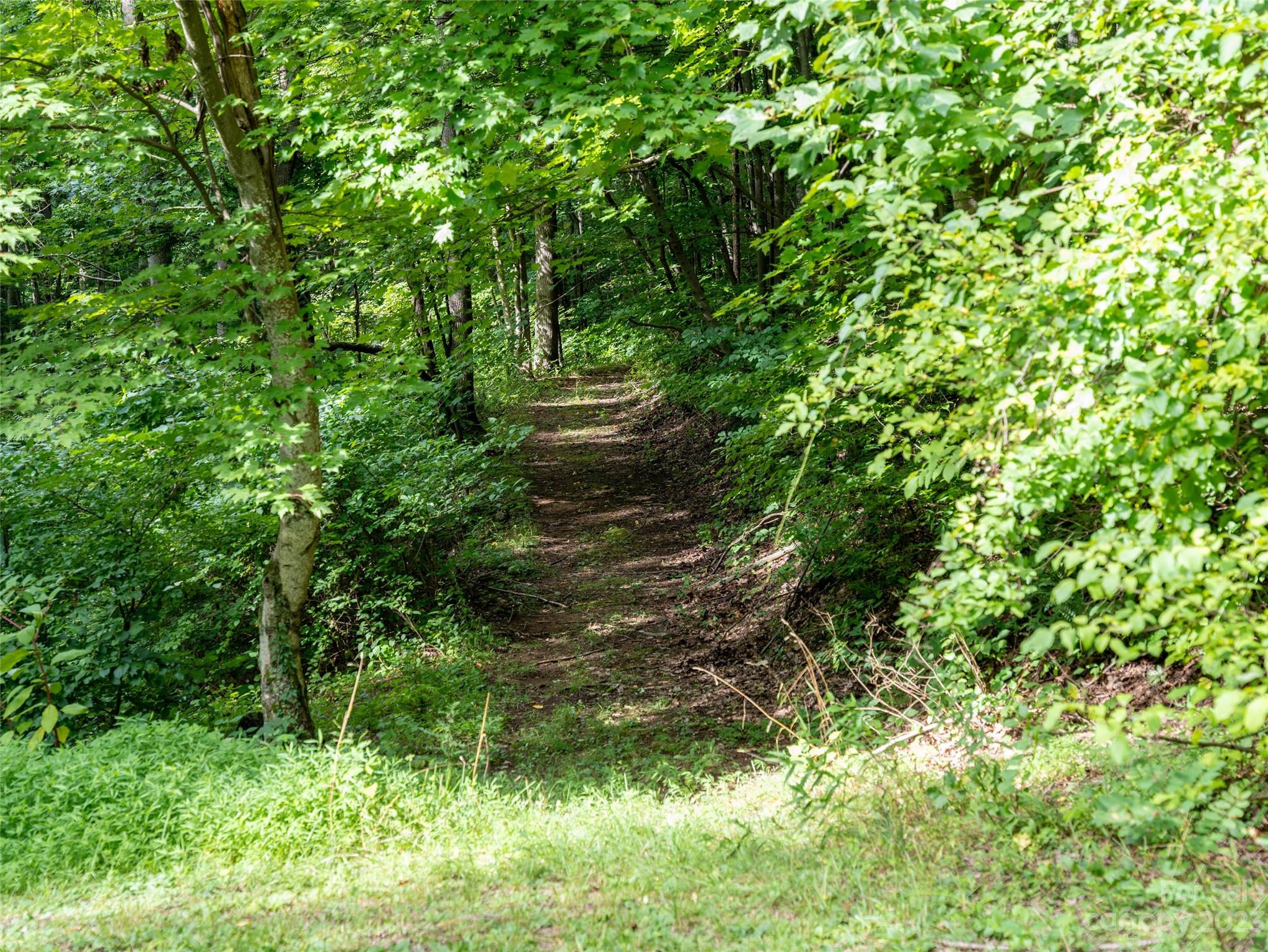 1706 Newfound Road Leicester, NC 28748 - Photo 12 of 43 Gallery Image 12