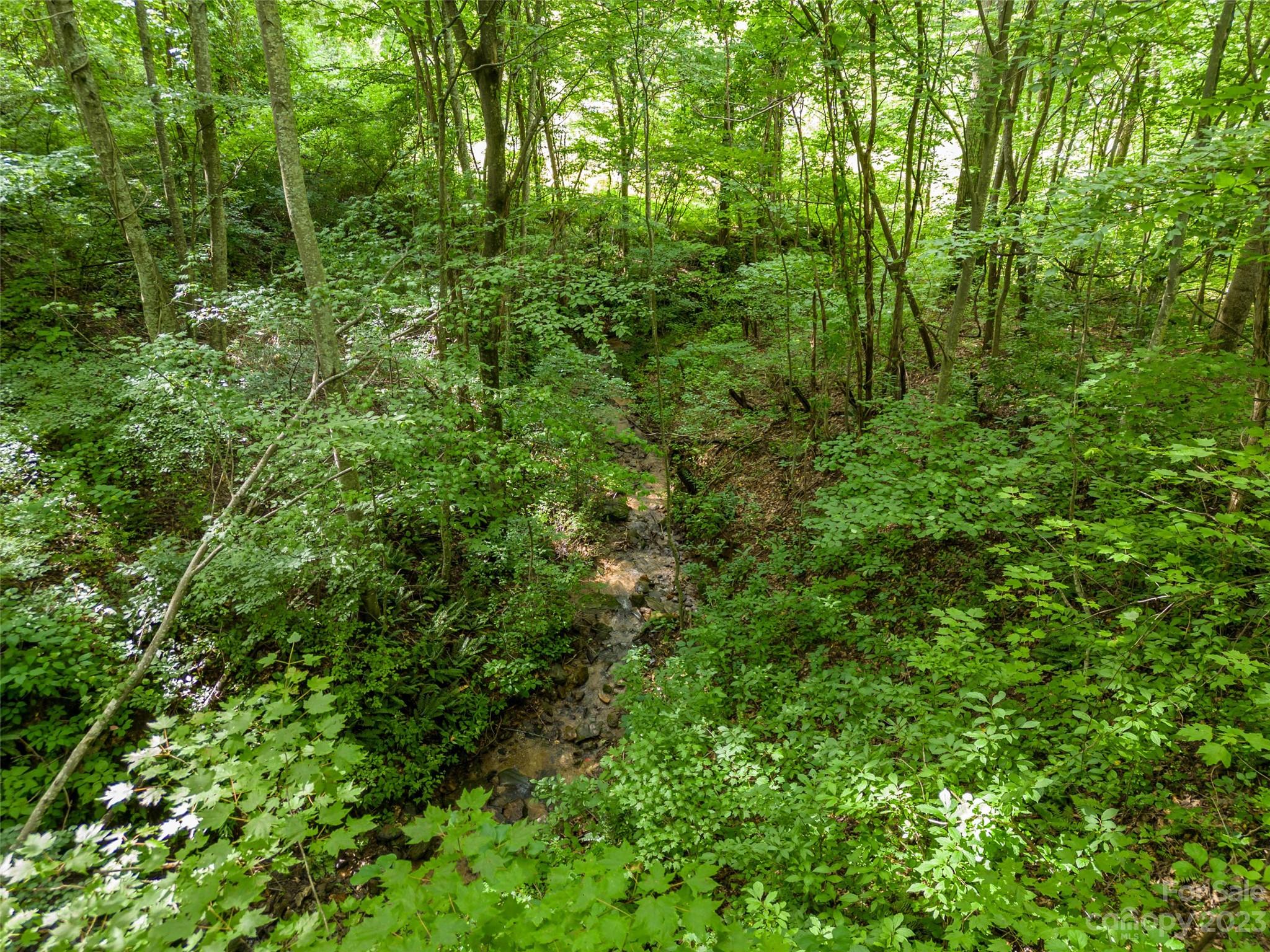 1706 Newfound Road Leicester, NC 28748 - Photo 13 of 43 Gallery Image 13