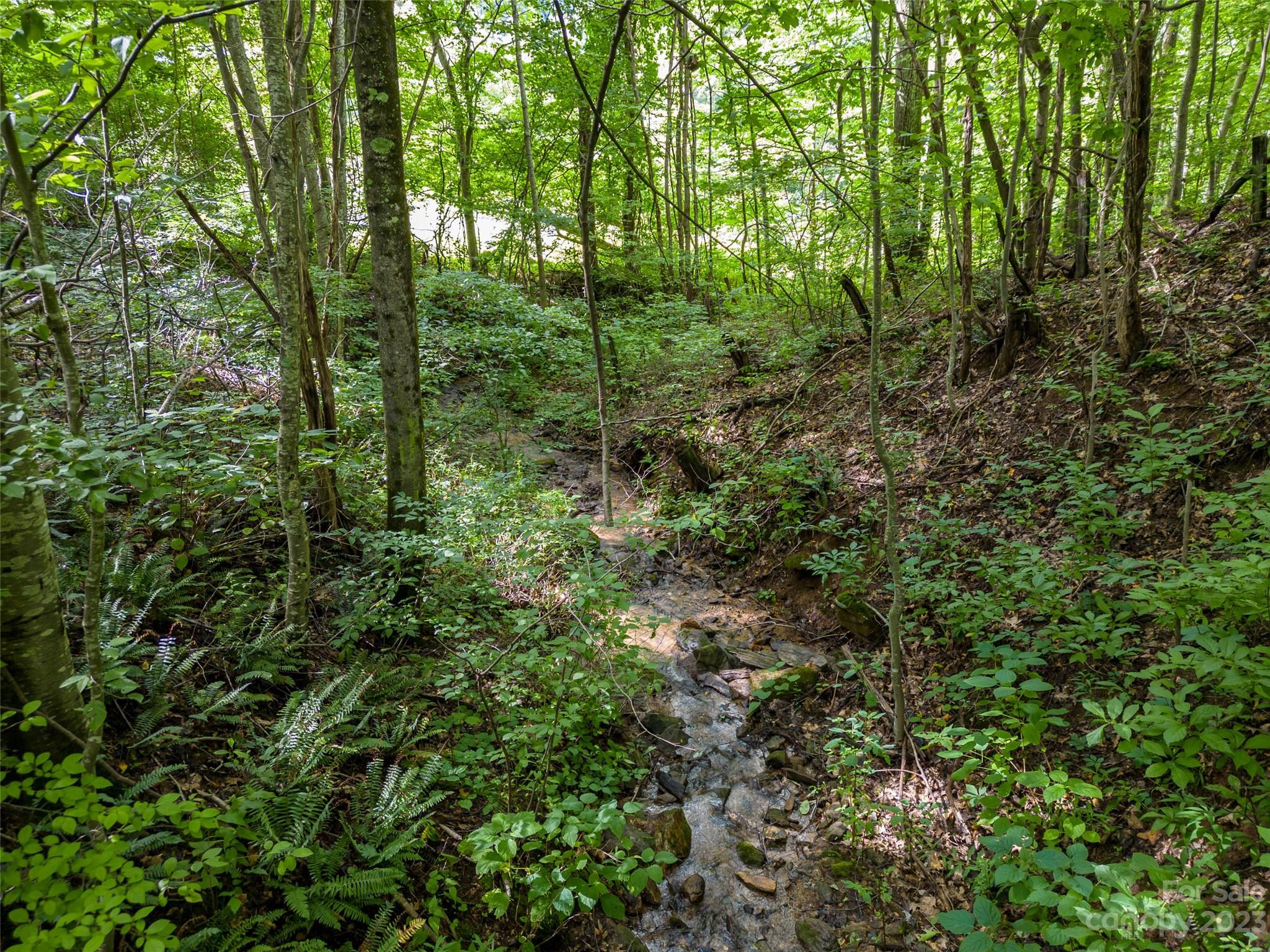 1706 Newfound Road Leicester, NC 28748 - Photo 14 of 43 Gallery Image 14