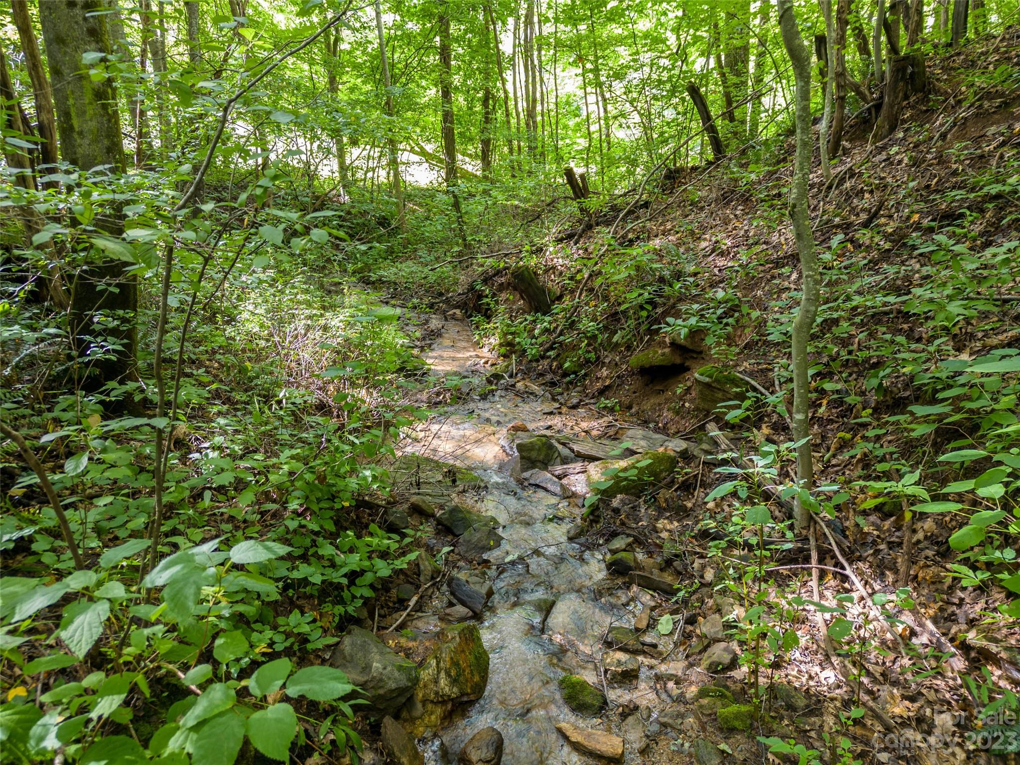 1706 Newfound Road Leicester, NC 28748 - Photo 16 of 43 Gallery Image 16