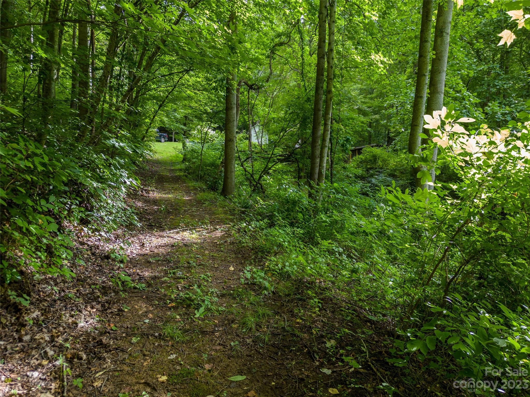 1706 Newfound Road Leicester, NC 28748 - Photo 19 of 43 Gallery Image 19
