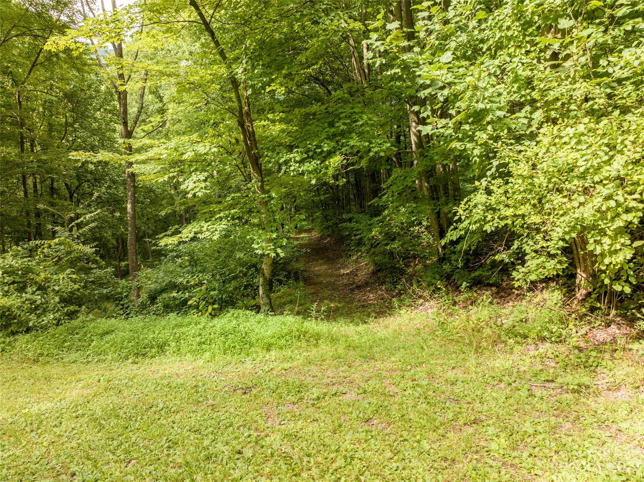 1706 Newfound Road Leicester, NC 28748 - Photo 21 of 43 Gallery Image 21