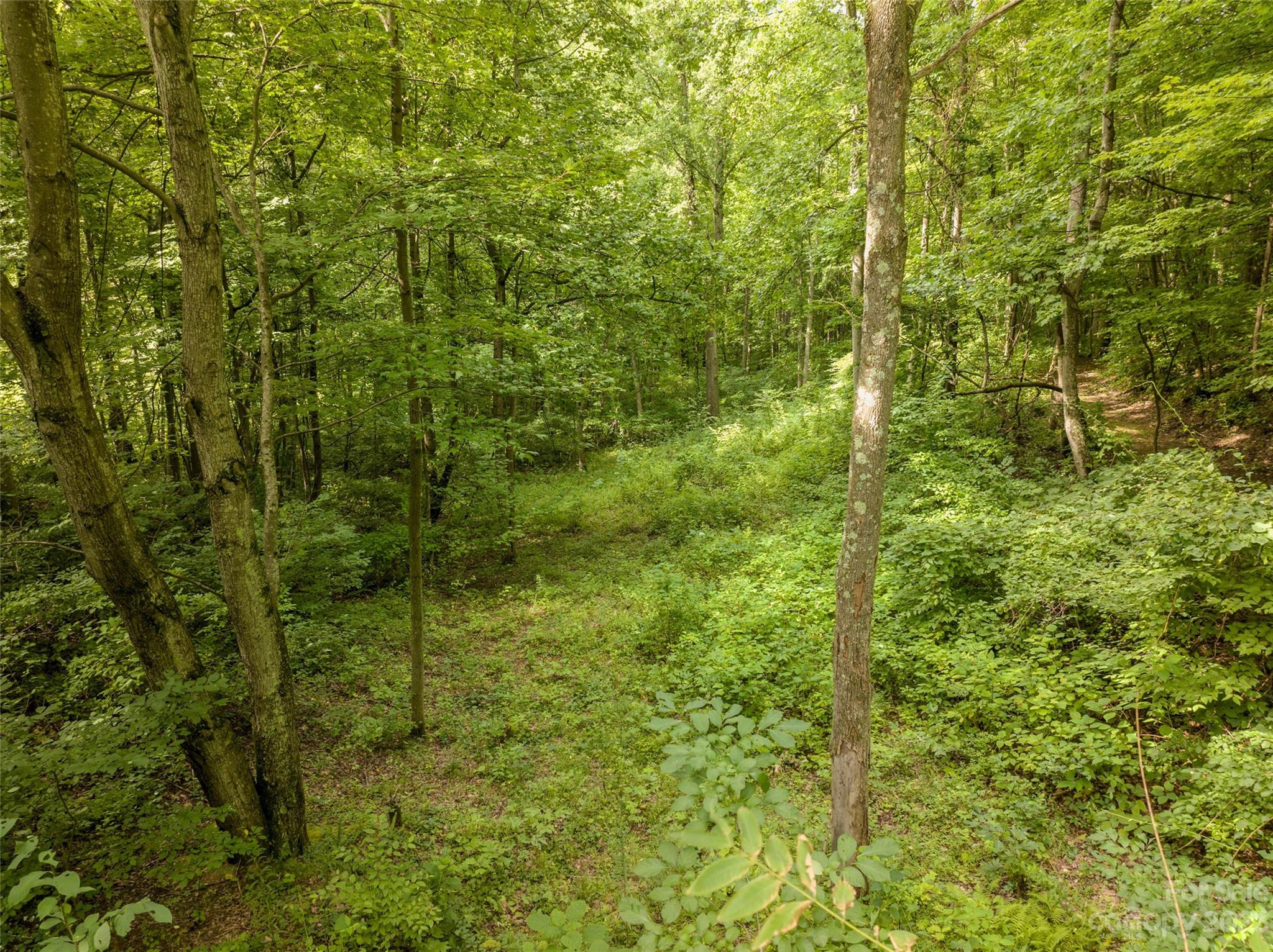1706 Newfound Road Leicester, NC 28748 - Photo 22 of 43 Gallery Image 22