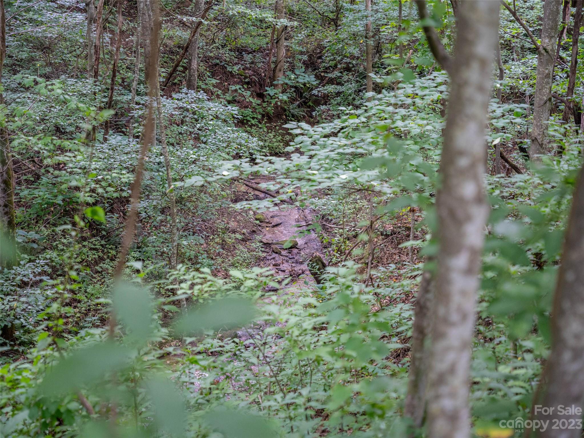 1706 Newfound Road Leicester, NC 28748 - Photo 24 of 43 Gallery Image 24