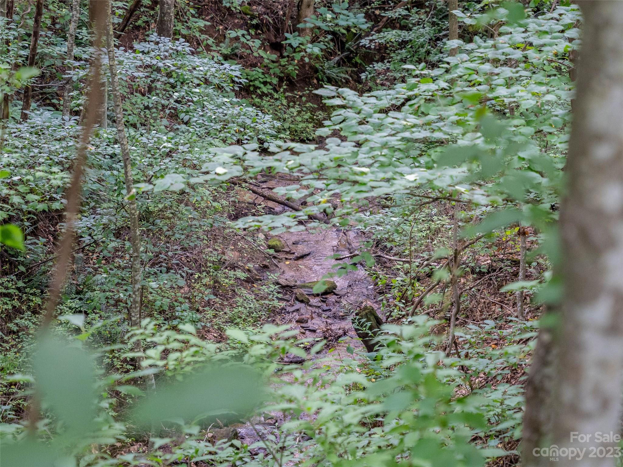 1706 Newfound Road Leicester, NC 28748 - Photo 25 of 43 Gallery Image 25