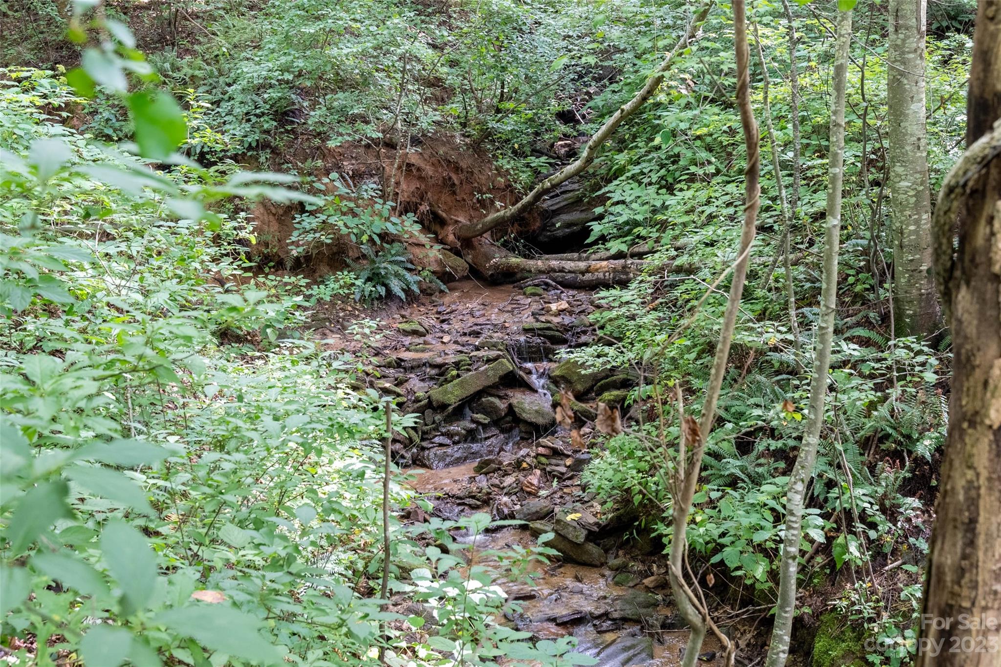 1706 Newfound Road Leicester, NC 28748 - Photo 29 of 43 Gallery Image 29