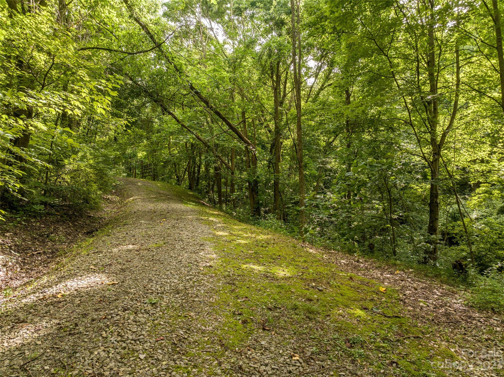1706 Newfound Road Leicester, NC 28748 - Photo 3 of 43 Gallery Image 3