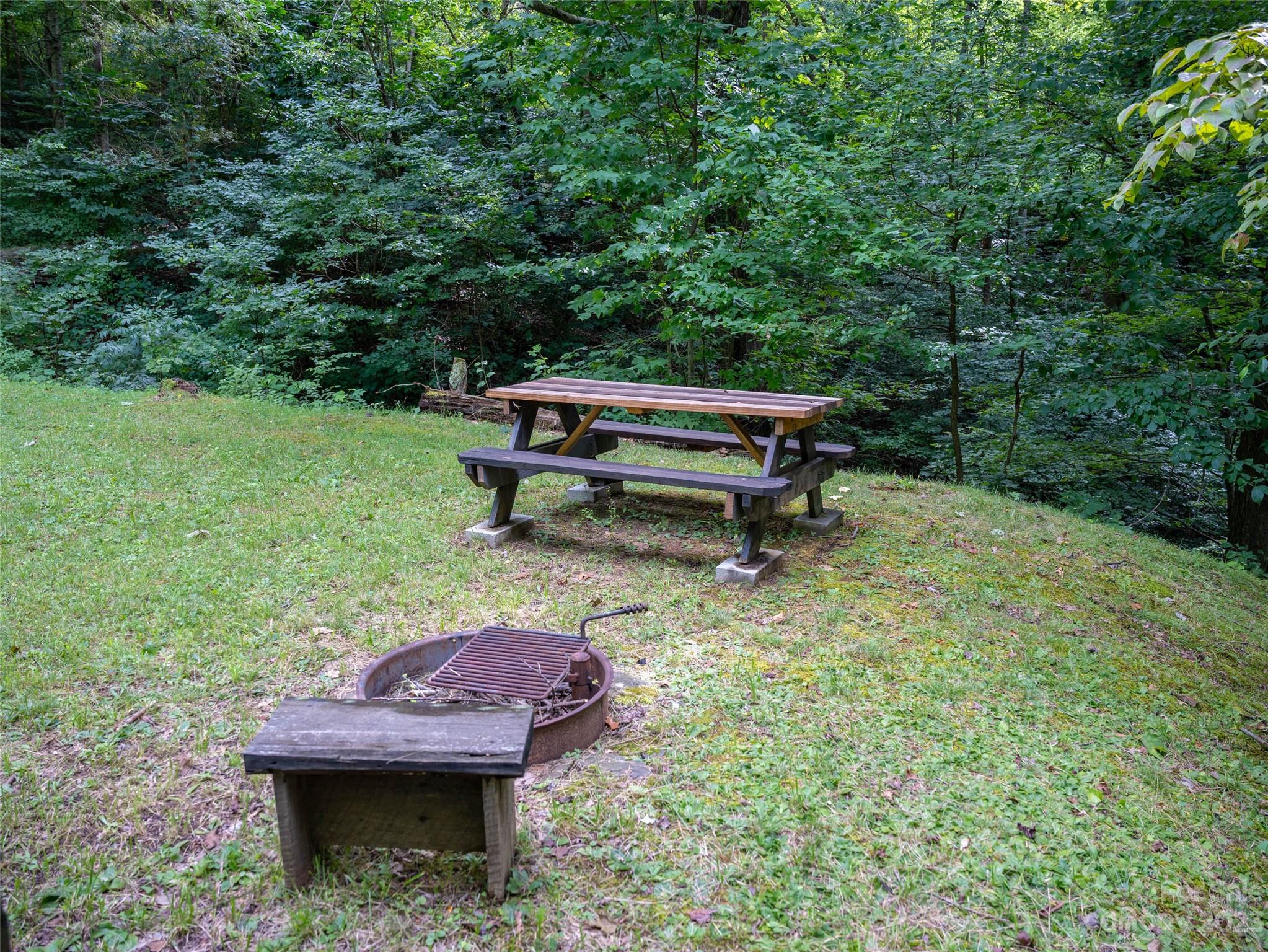 1706 Newfound Road Leicester, NC 28748 - Photo 33 of 43 Gallery Image 33