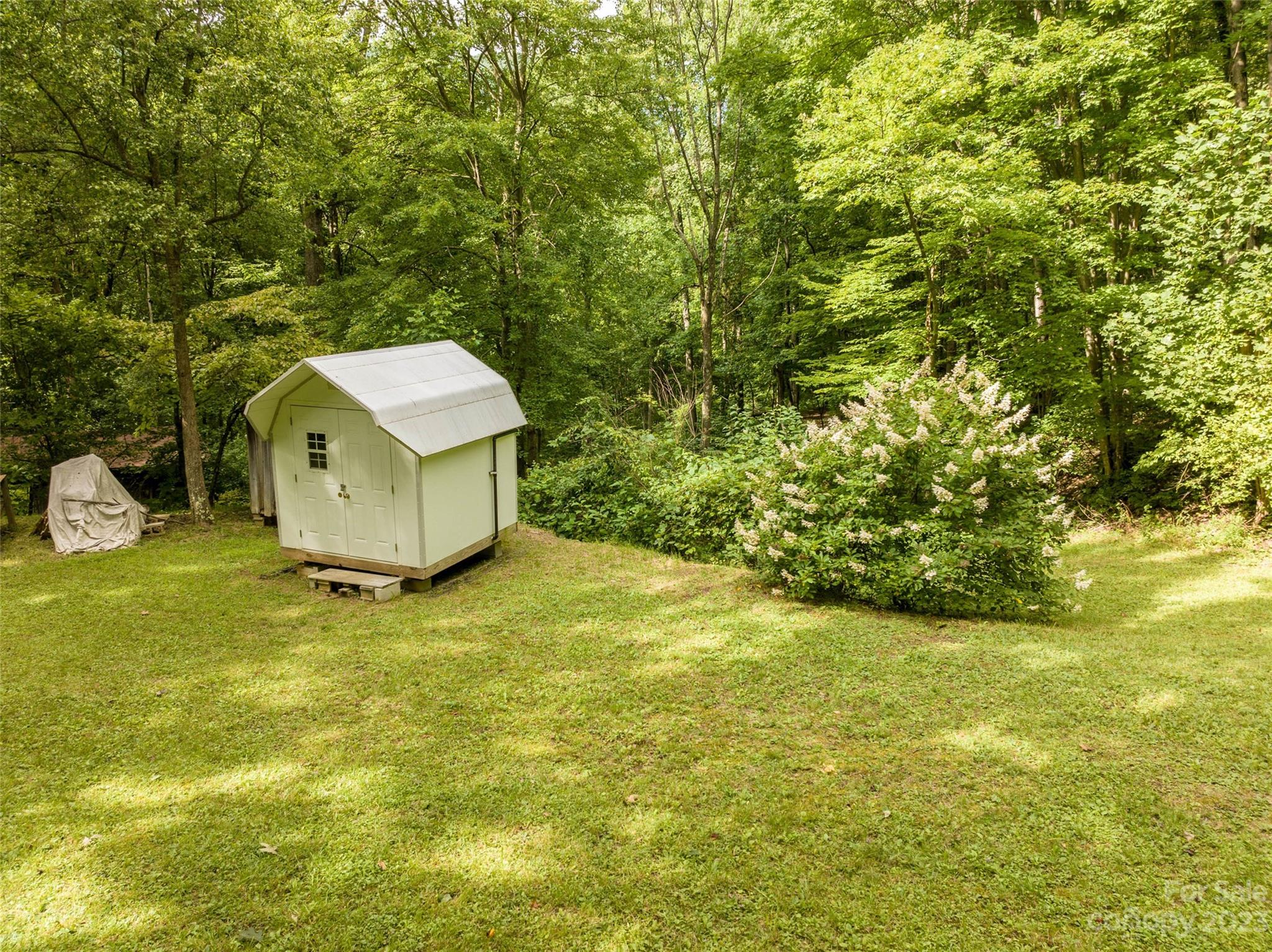 1706 Newfound Road Leicester, NC 28748 - Photo 7 of 43 Gallery Image 7