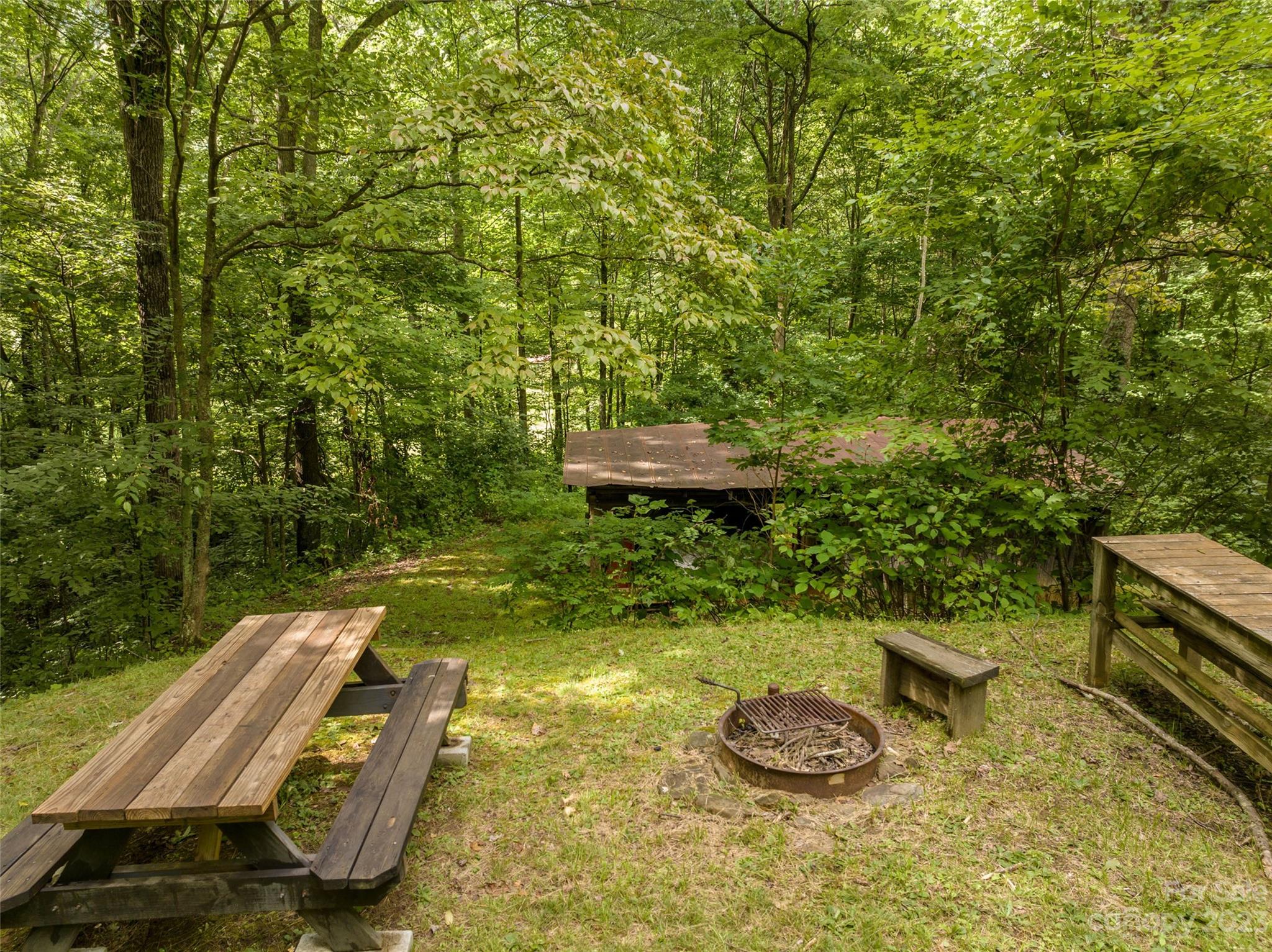 1706 Newfound Road Leicester, NC 28748 - Photo 10 of 43 Gallery Image 10