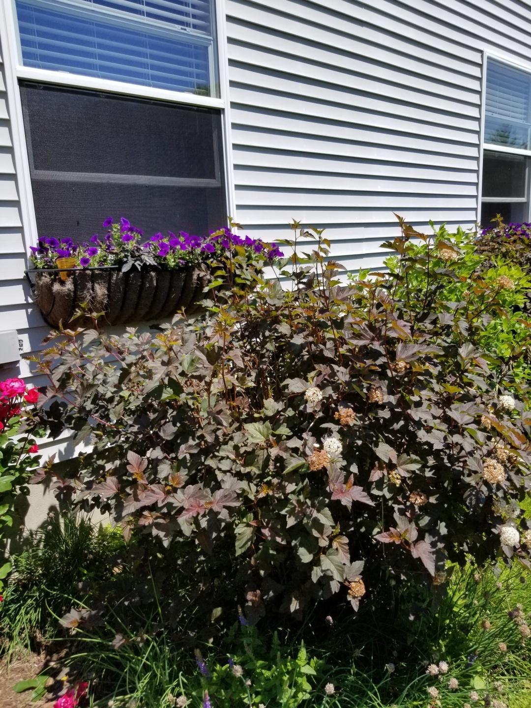33 Oak Hill Road Trevett, ME 04571 - Photo 28 of 33 window boxes