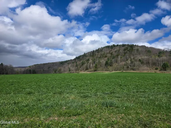 $1,500,000 | 378 Highway 165, Roseboom, NY 13320