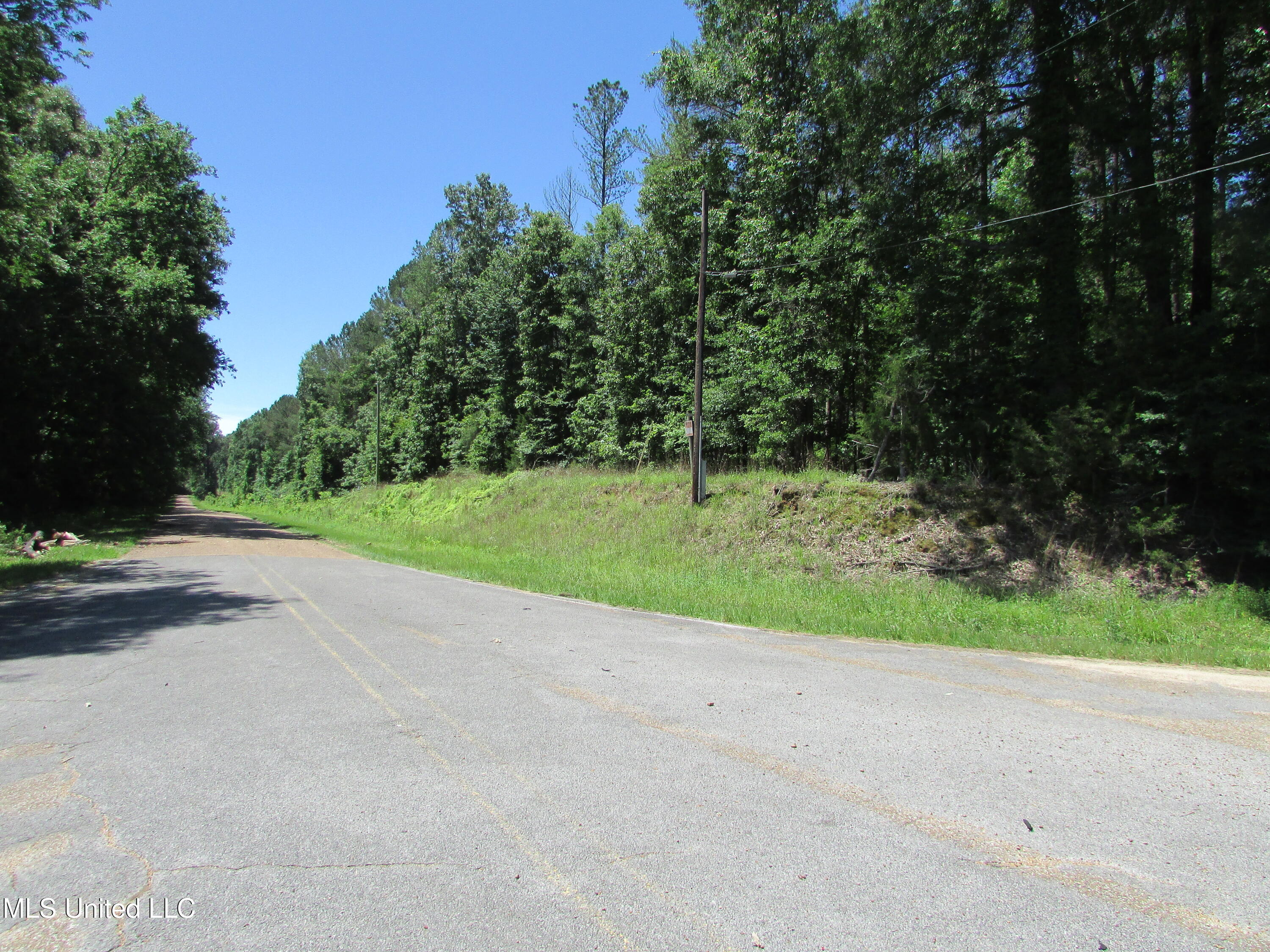 Vaughn Road Vaughan, MS 39179 - Photo 19 of 20 IMG_0040