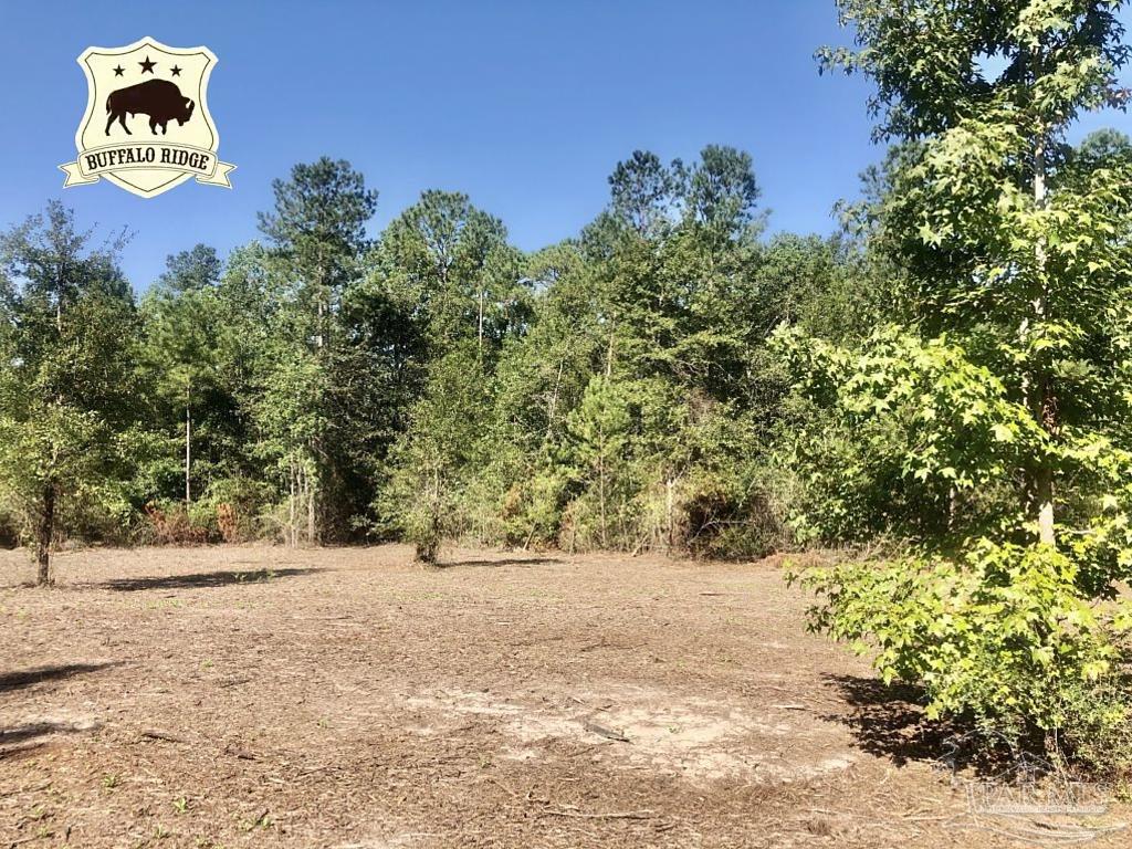 Lot 3-bs Buffalo Ridge Road Milton, FL 32571 - Photo 1 of 16