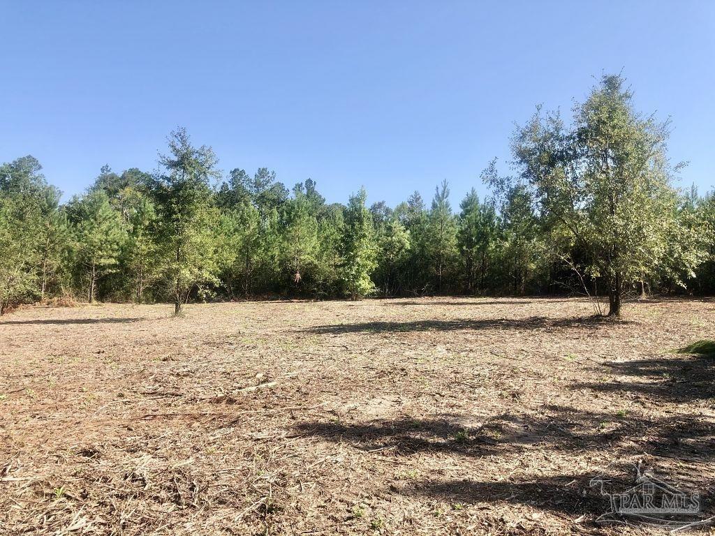 Lot 3-bs Buffalo Ridge Road Milton, FL 32571 - Photo 12 of 16