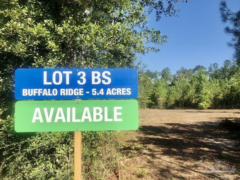 Lot 3-bs Buffalo Ridge Road Milton, FL 32571 - Photo 2 of 16