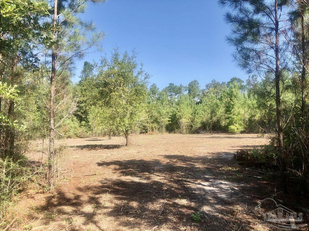 Lot 3-bs Buffalo Ridge Road Milton, FL 32571 - Photo 4 of 16