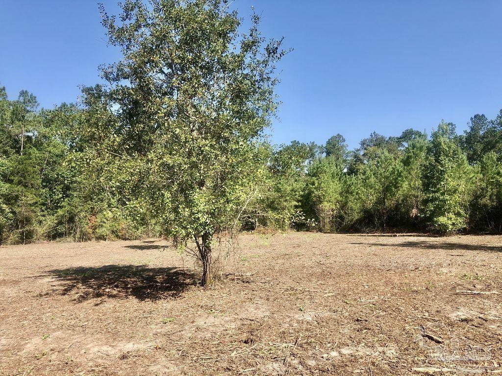 Lot 3-bs Buffalo Ridge Road Milton, FL 32571 - Photo 5 of 16