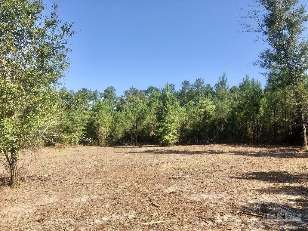 Lot 3-bs Buffalo Ridge Road Milton, FL 32571 - Photo 6 of 16