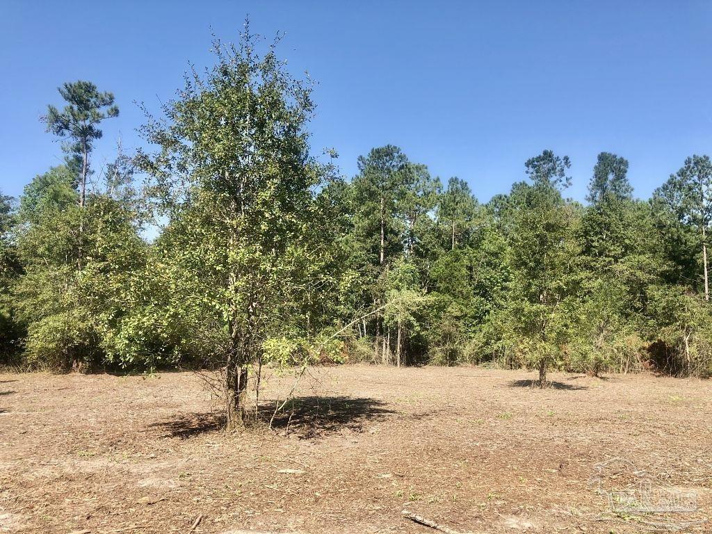 Lot 3-bs Buffalo Ridge Road Milton, FL 32571 - Photo 7 of 16