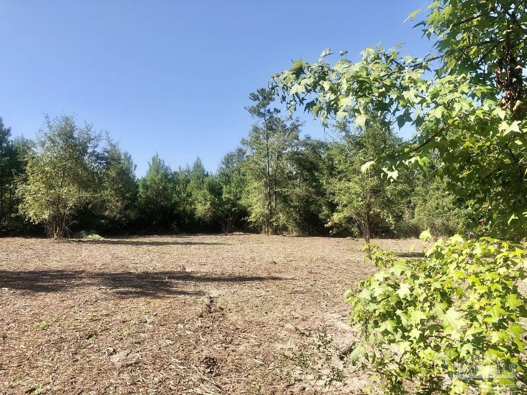 Lot 3-bs Buffalo Ridge Road Milton, FL 32571 - Photo 8 of 16