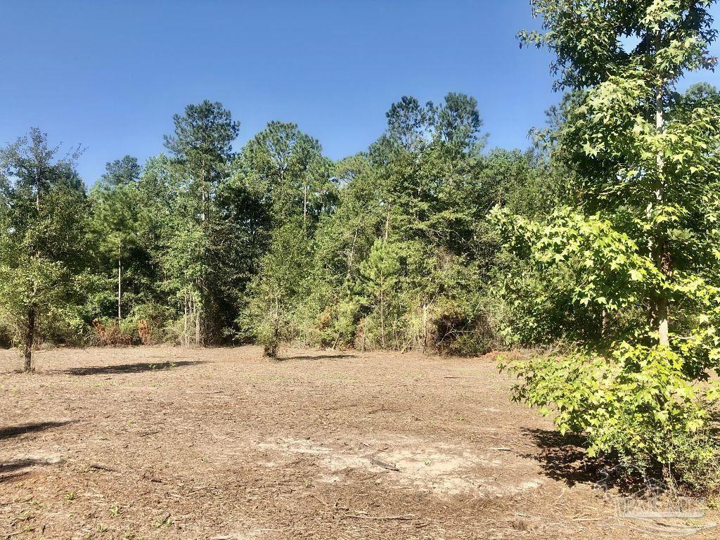 Lot 3-bs Buffalo Ridge Road Milton, FL 32571 - Photo 9 of 16