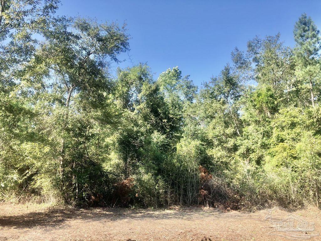 Lot 3-bs Buffalo Ridge Road Milton, FL 32571 - Photo 10 of 16