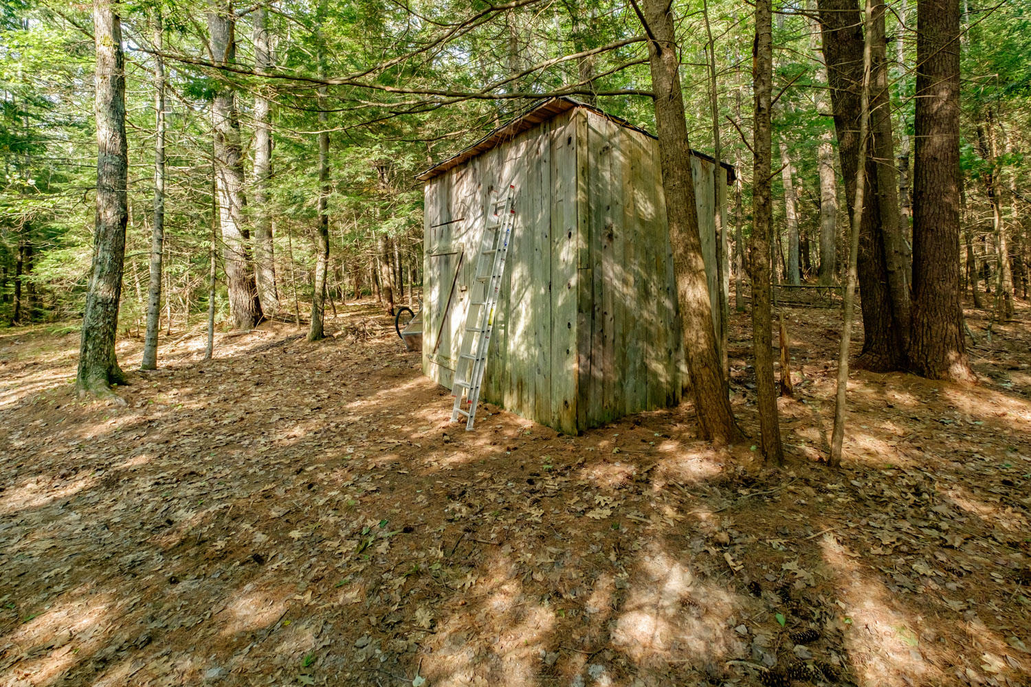 340 Joy Valley Road Buxton, ME 04093 - Photo 58 of 58 20190911gp-62059