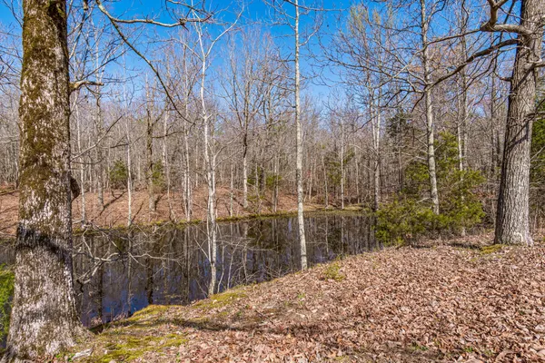 a view of a field with trees in the background