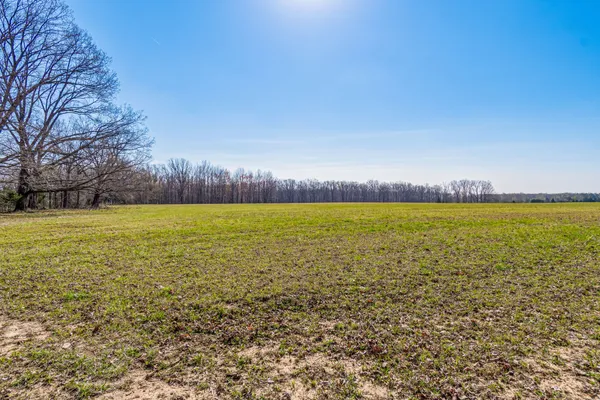 a view of a field with trees in the background