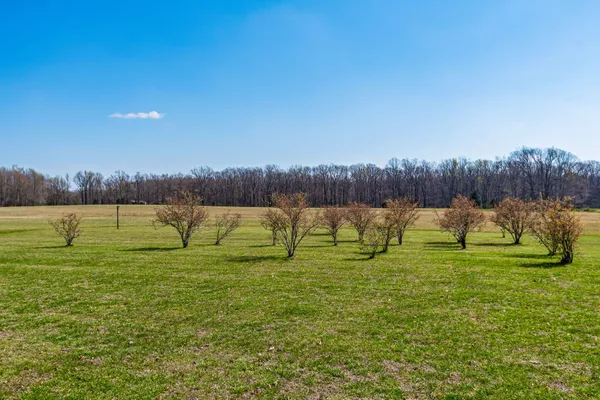 a view of an ocean and beach